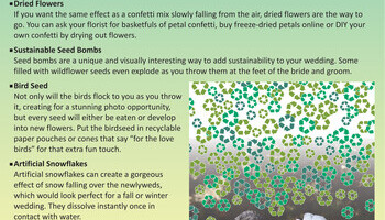 Wedding Bells Info 2