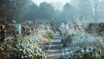 New Year's Gardening Resolutions