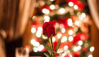 Floral Arrangements For A Festive Home