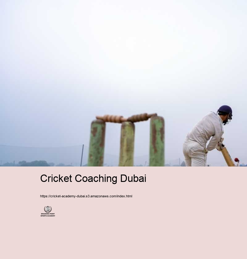 Finding the World of Cricket Academies in Dubai: A Novice Overview