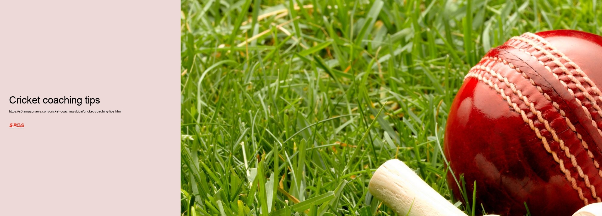 cricket coaching tips