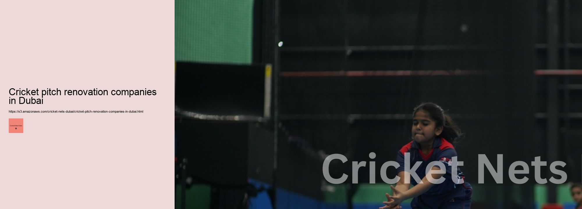 Cricket pitch renovation companies in Dubai