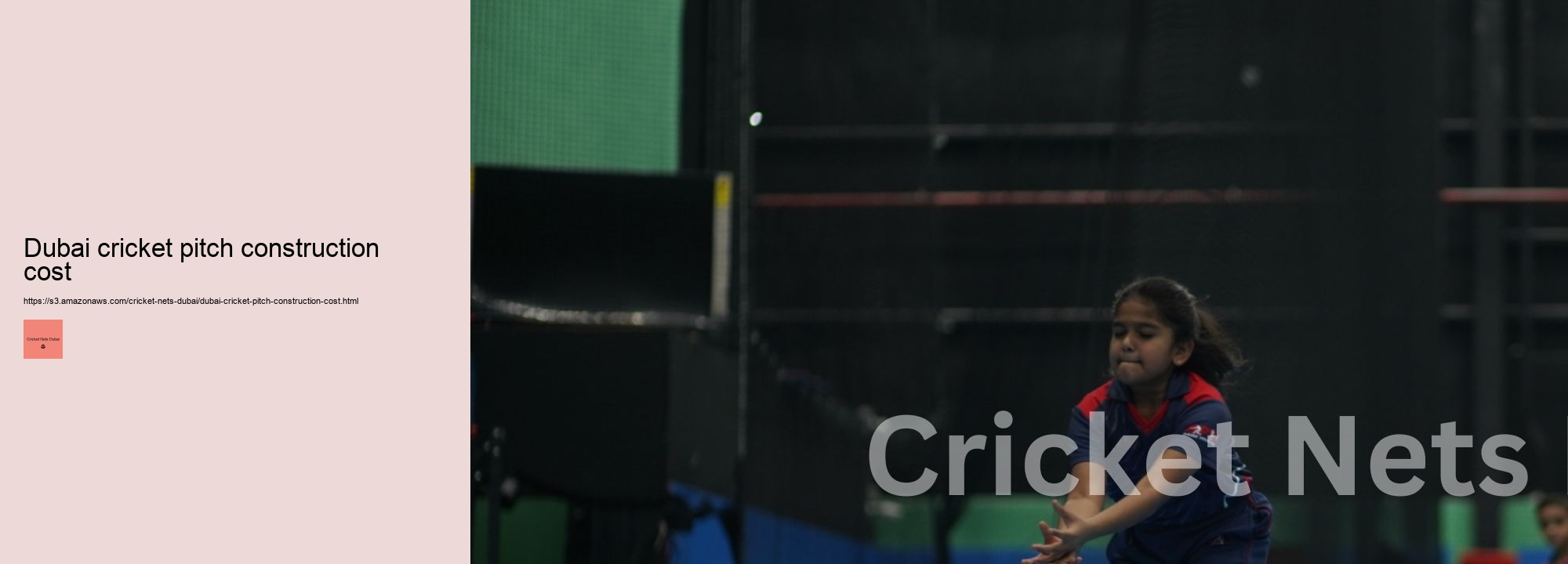 Dubai cricket pitch construction cost