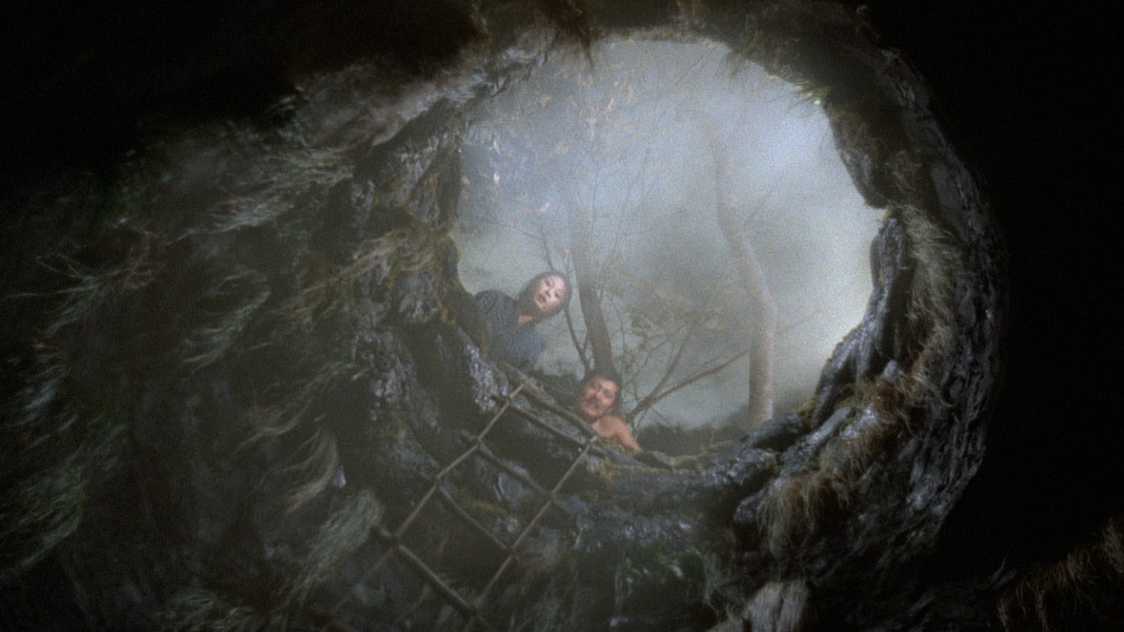 <i>Empire of Passion</i>: Interview with Nagisa Oshima