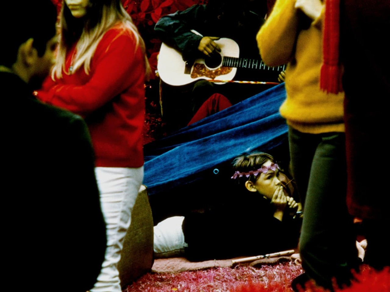 A Bloody Battle over Monterey Pop Festival