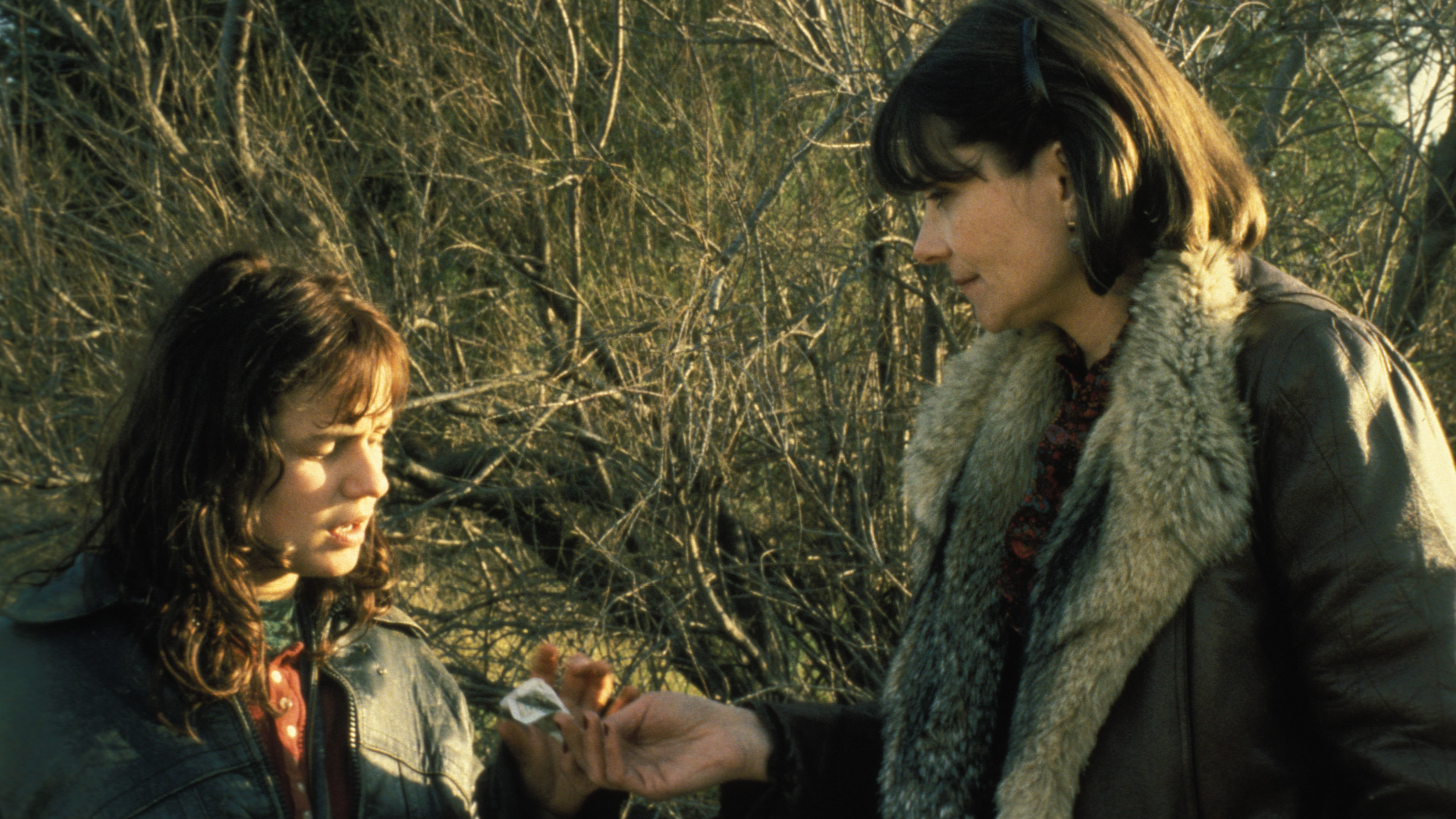 <i>Vagabond:</i> Freedom and Dirt