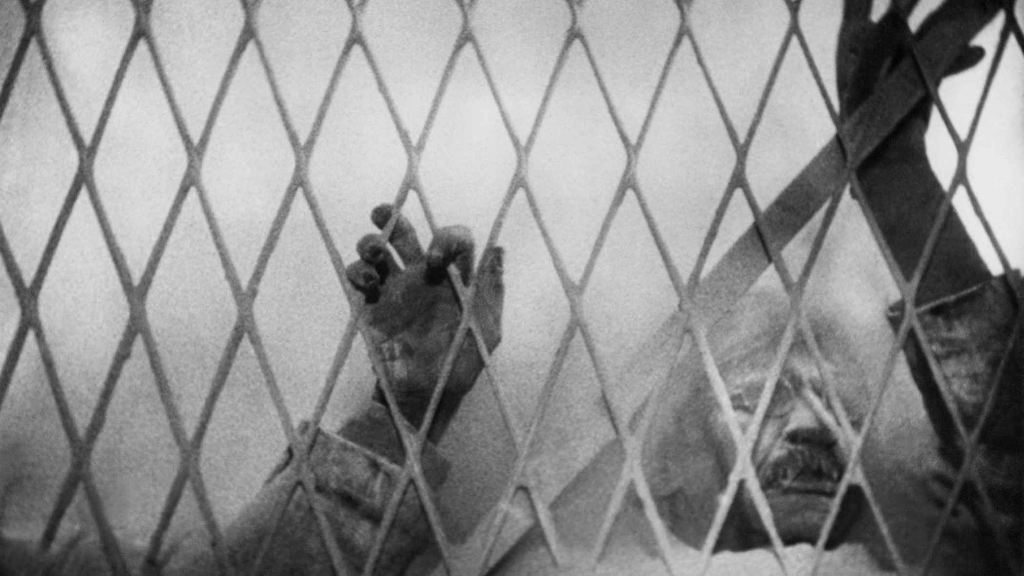 <i>Vampyr</i> and the Vampire