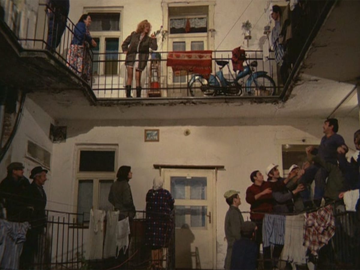 <i>WR,</i> Sex, and the Art of Radical Juxtaposition