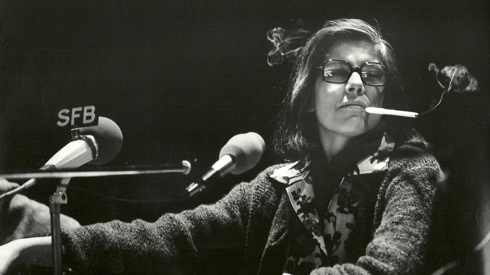 Susan sontag sontag susan vol 31 essay 04 picture