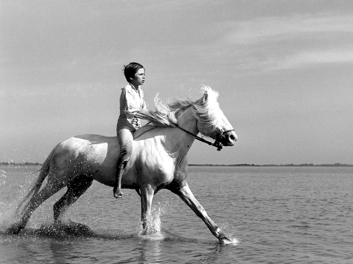 White Mane: Natural Magic | Current | The Criterion Collection