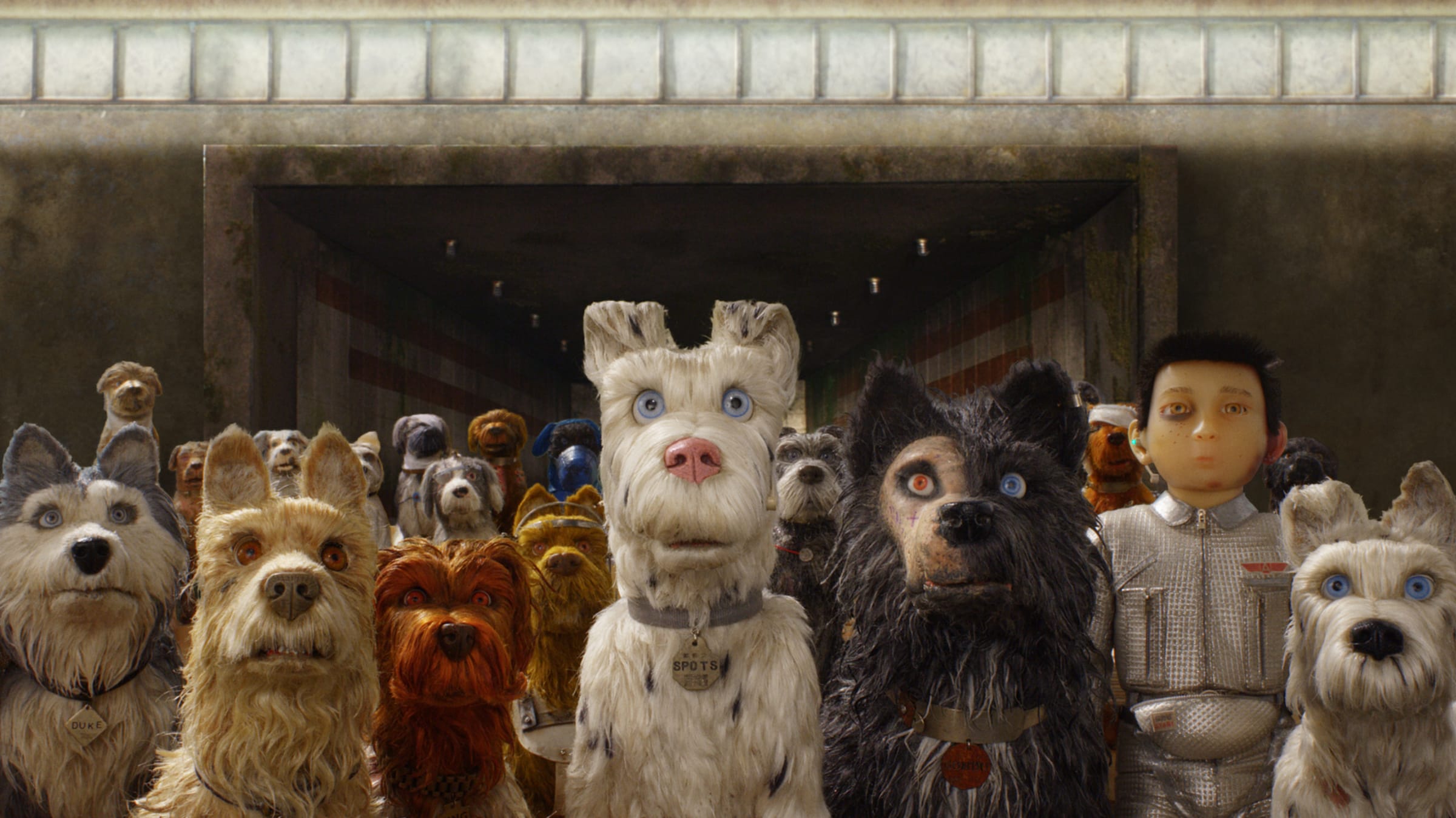 <i>Isle of Dogs:</i> Stray Dogs and Show Dogs