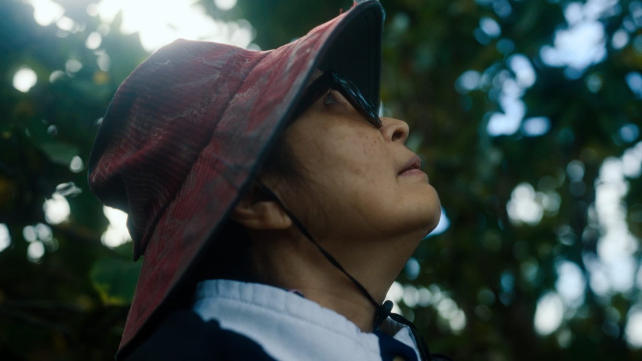 The Other Side of Apocalypse: A Conversation on We Were the Scenery