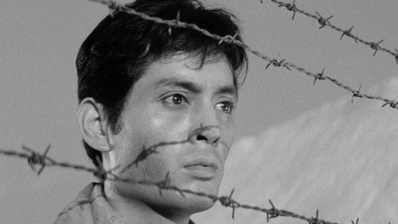 Tatsuya Nakadai, Superstar Craftsman