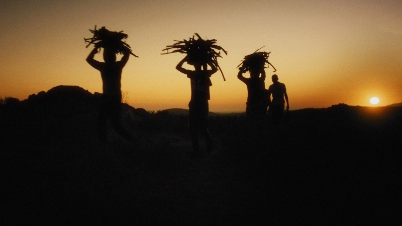 Rotterdam Awards and Critical Favorites