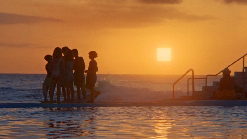 TIFF Classics, Wavelengths, and Centerpiece Lineups
