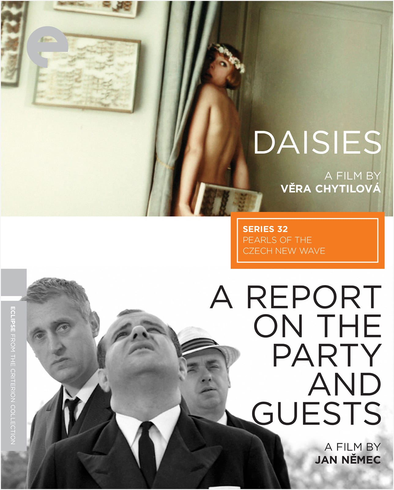 A Report on the Party and Guests