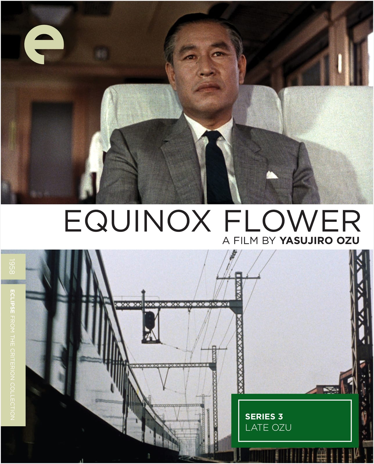 Equinox Flower