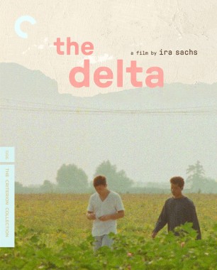 The Delta