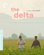 The Delta
