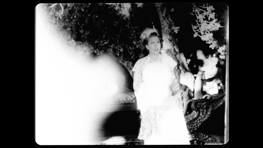 David Lynch’s Short Films - From the Current - The Criterion Collection