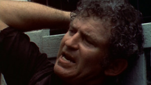 Eclipse Series 35: Maidstone and Other Films by Norman Mailer