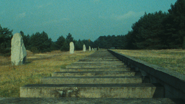 Approaching <i>Shoah</i>