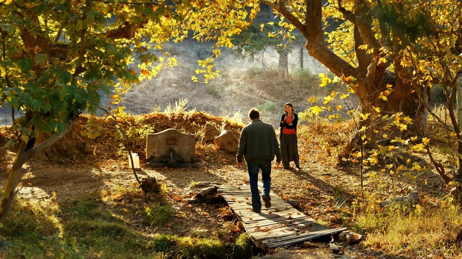 Wildpear04192018_large