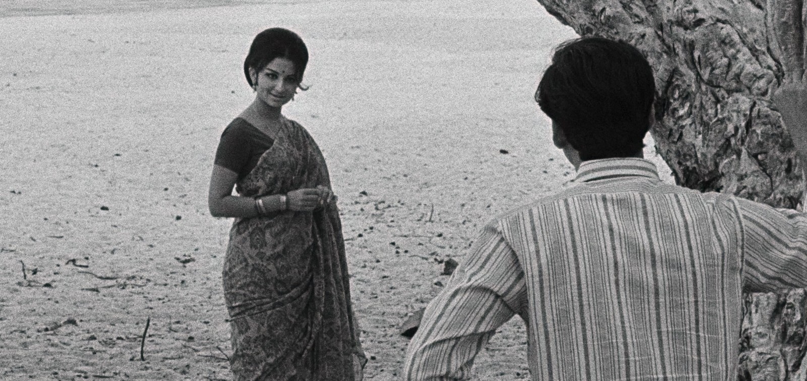 DAYS AND NIGHTS IN THE FOREST