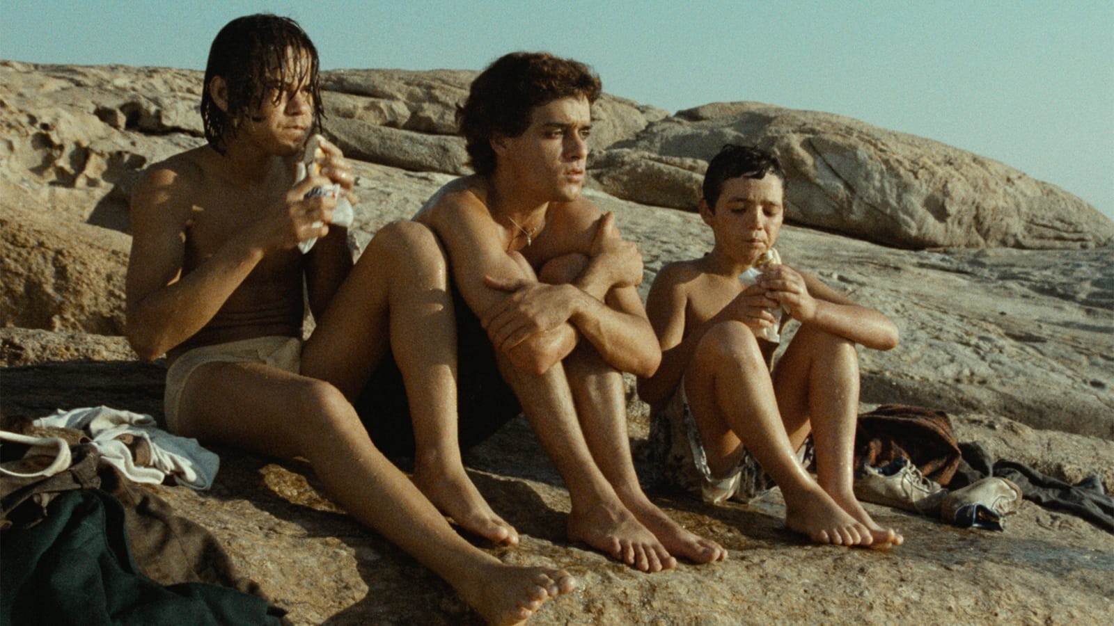 Janus Films — Pixote