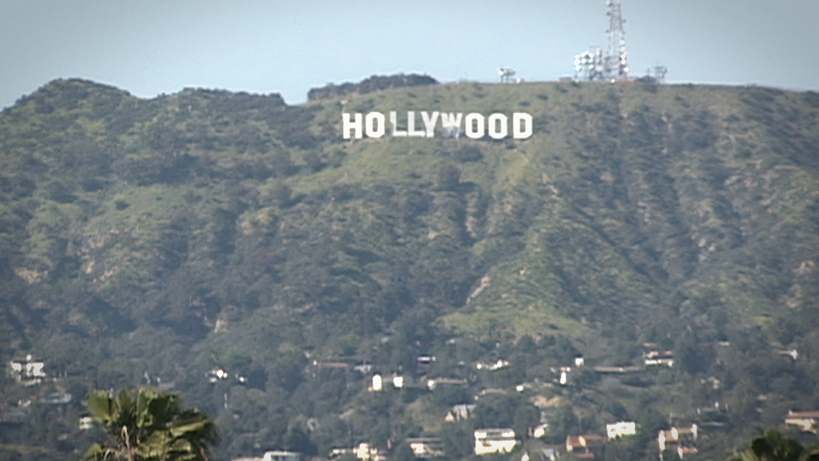 Janus Films — Inland Empire, image size:1600x900