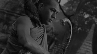 Janus Films — Films