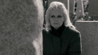 Janus Films — Films
