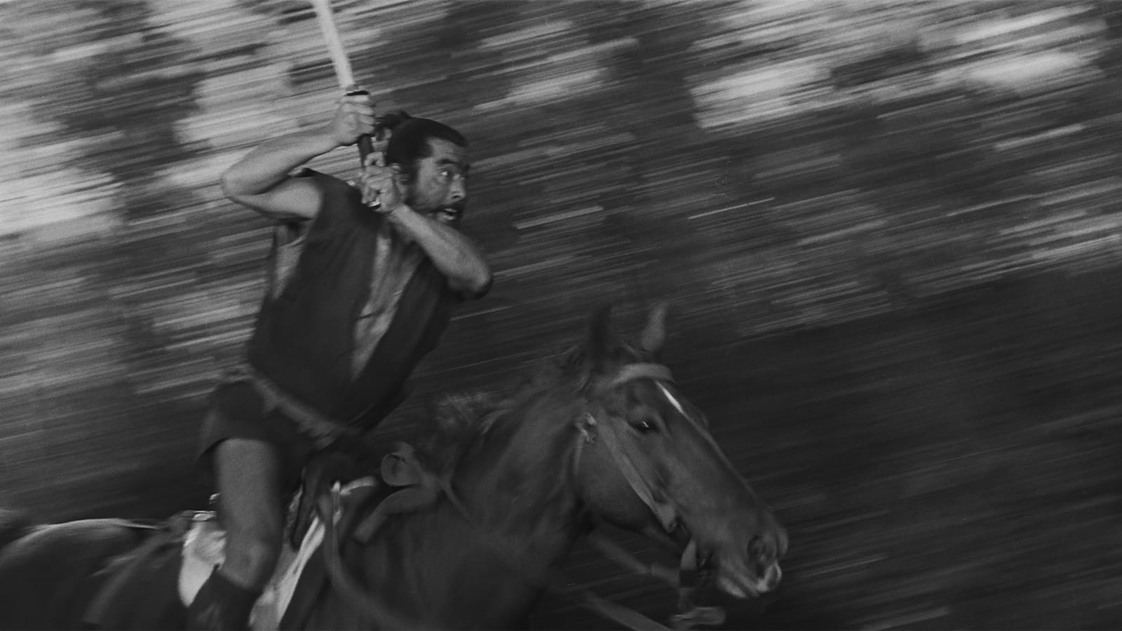 Janus Films — The Hidden Fortress
