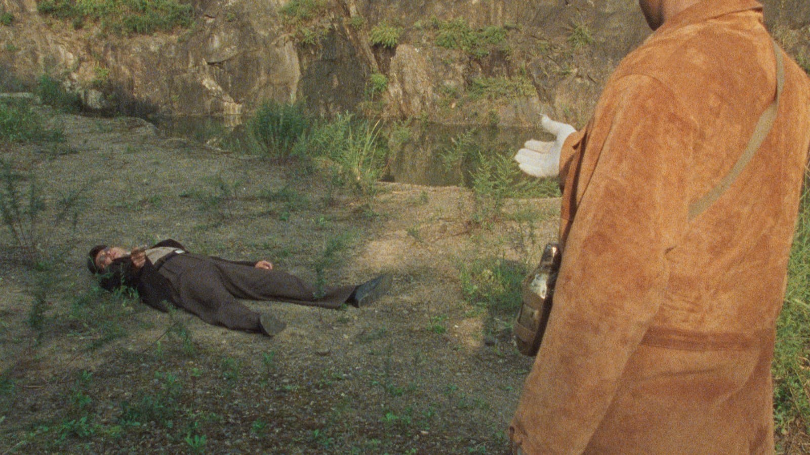 Janus Films — Spider's Eyes