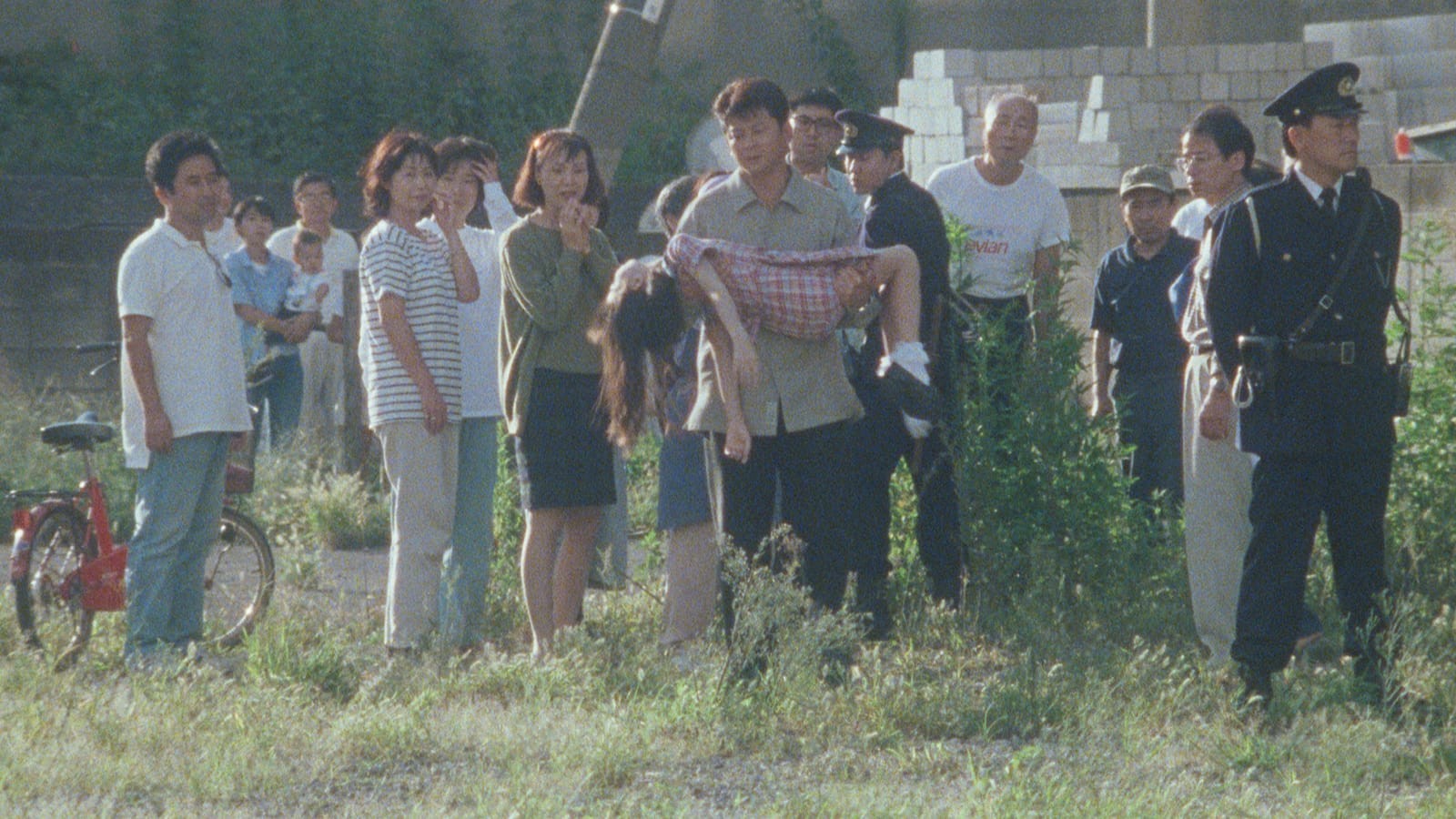 Janus Films — Spider's Eyes
