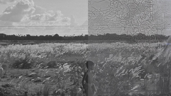 Restoring The Apu Trilogy