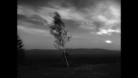 Virgin_spring_video_still