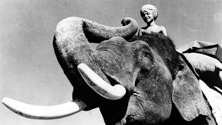 Elephant Boy (1937) - The Criterion Collection
