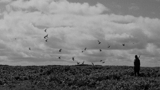 480_film_humancondition_w160