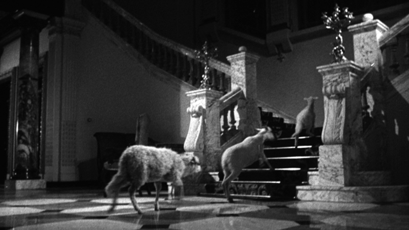 exterminating angel frame grab