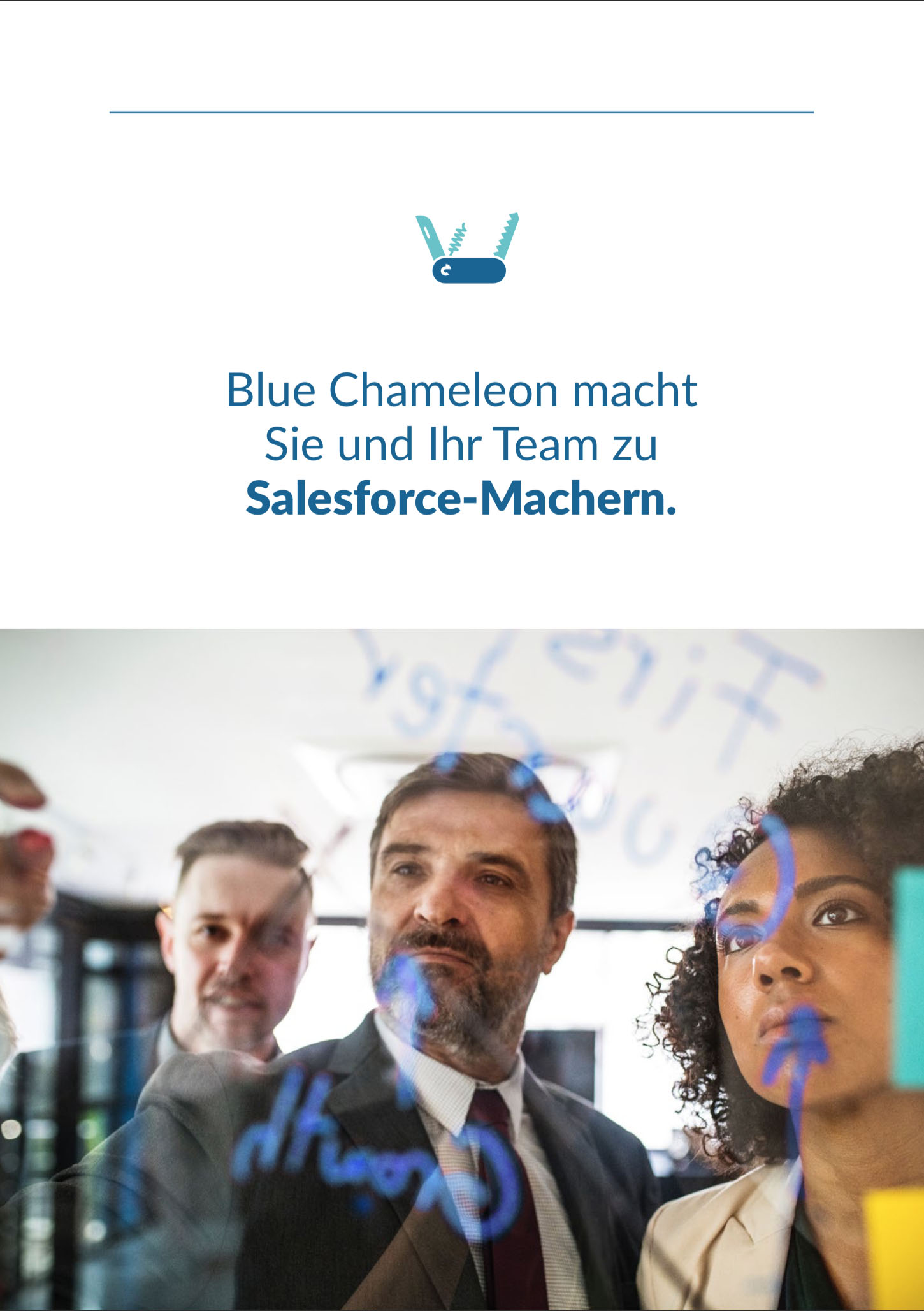 Blue Chameleon Advisory GmbH