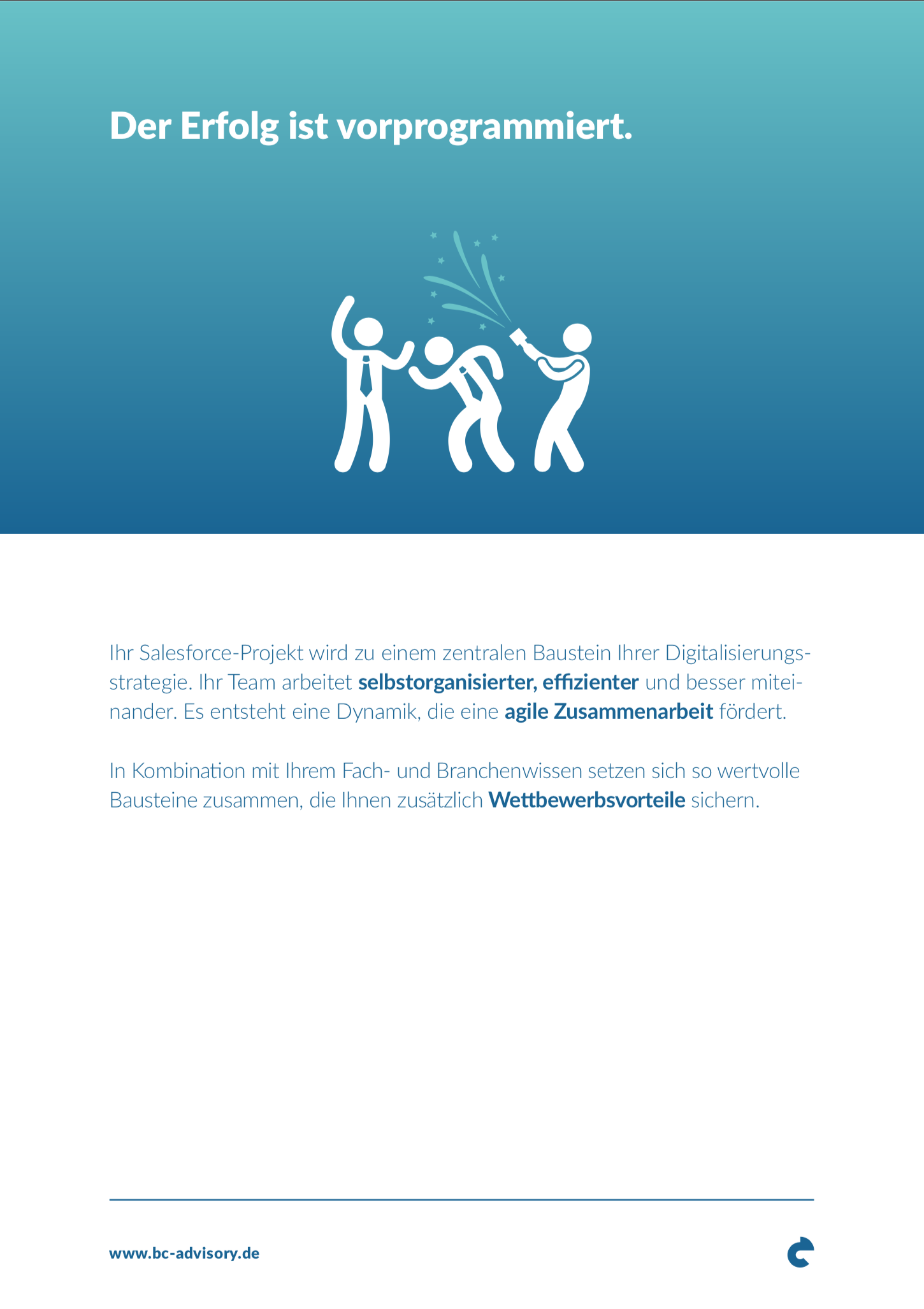 Blue Chameleon Advisory GmbH