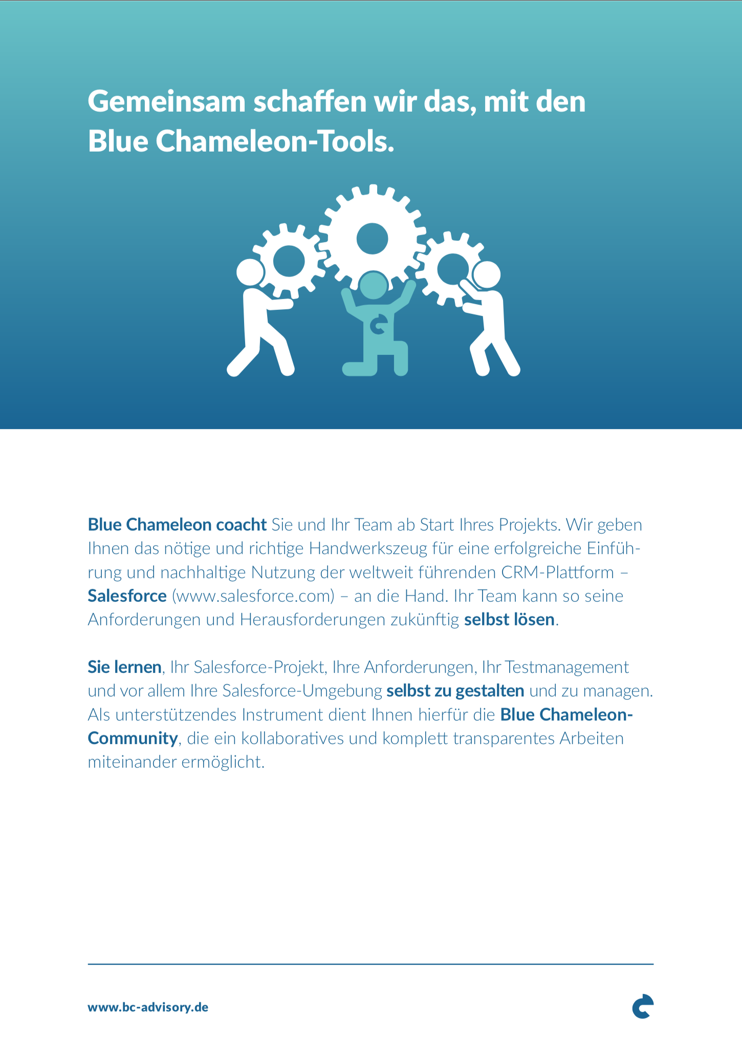 Blue Chameleon Advisory GmbH