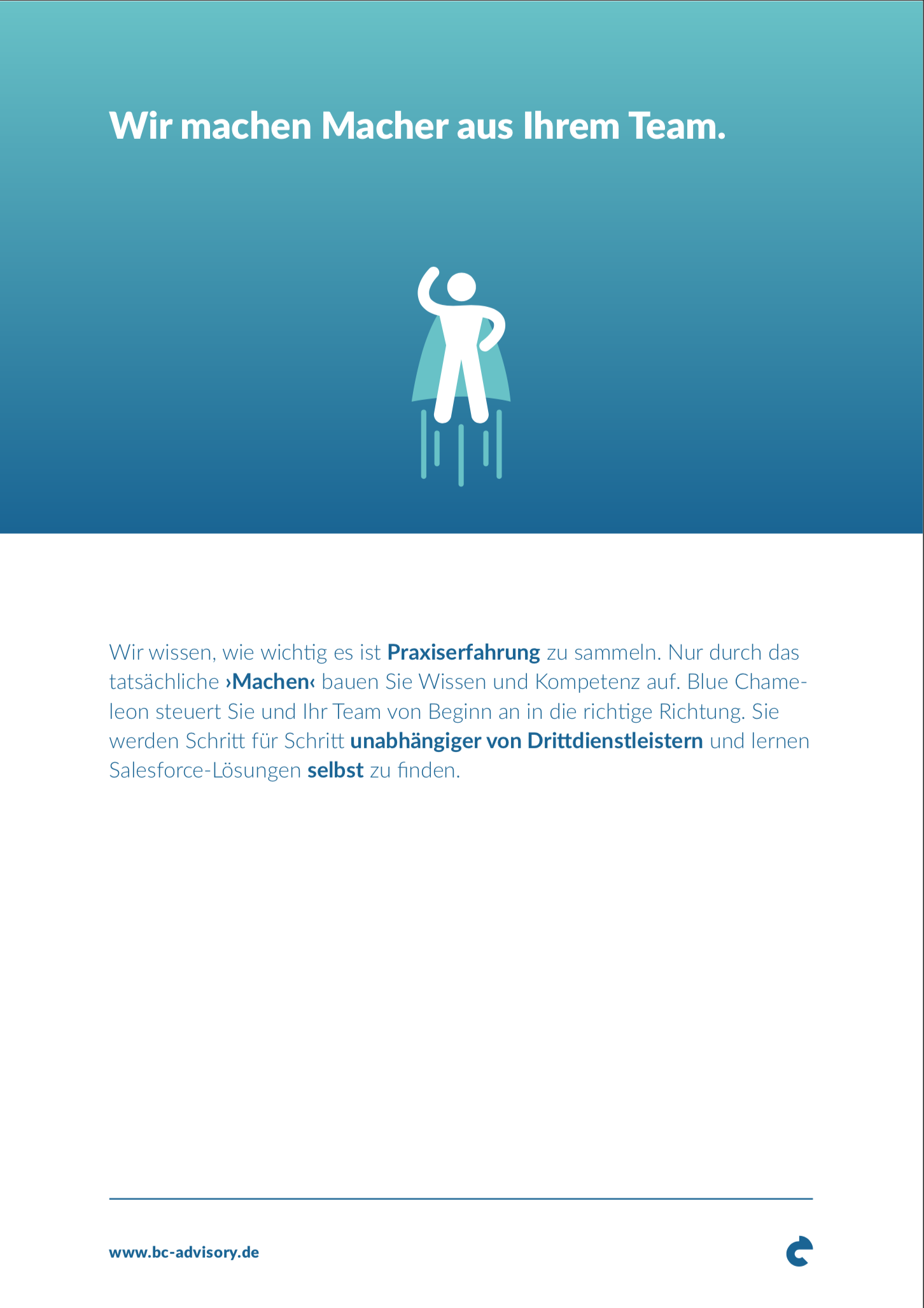 Blue Chameleon Advisory GmbH