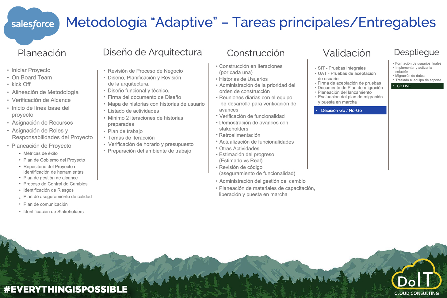 DoIT Cloud Consulting