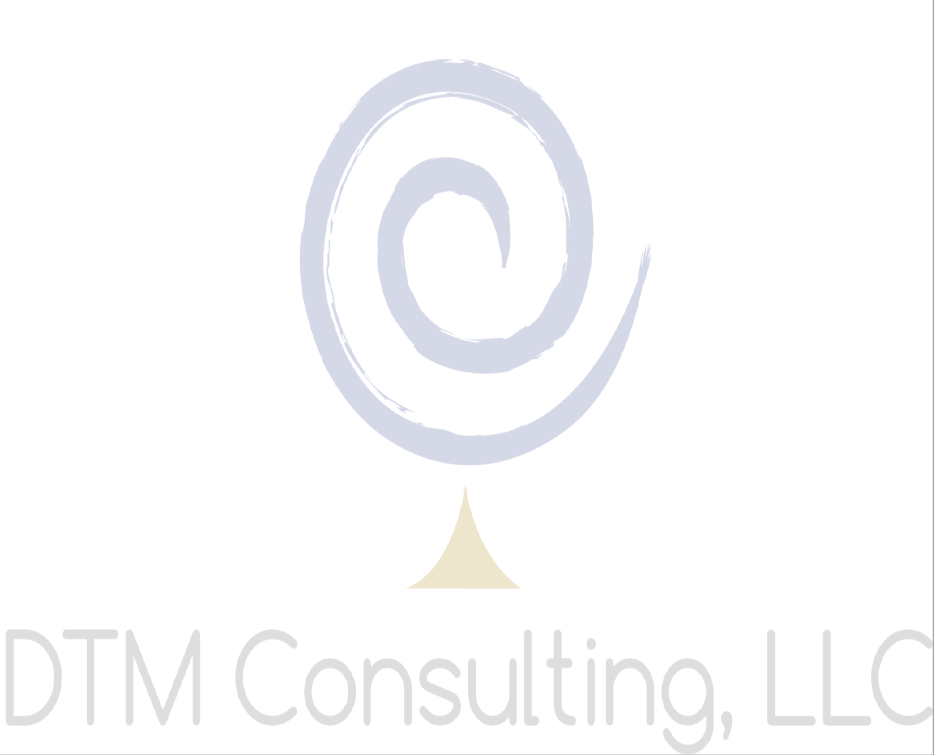 DTM Consulting, LLC