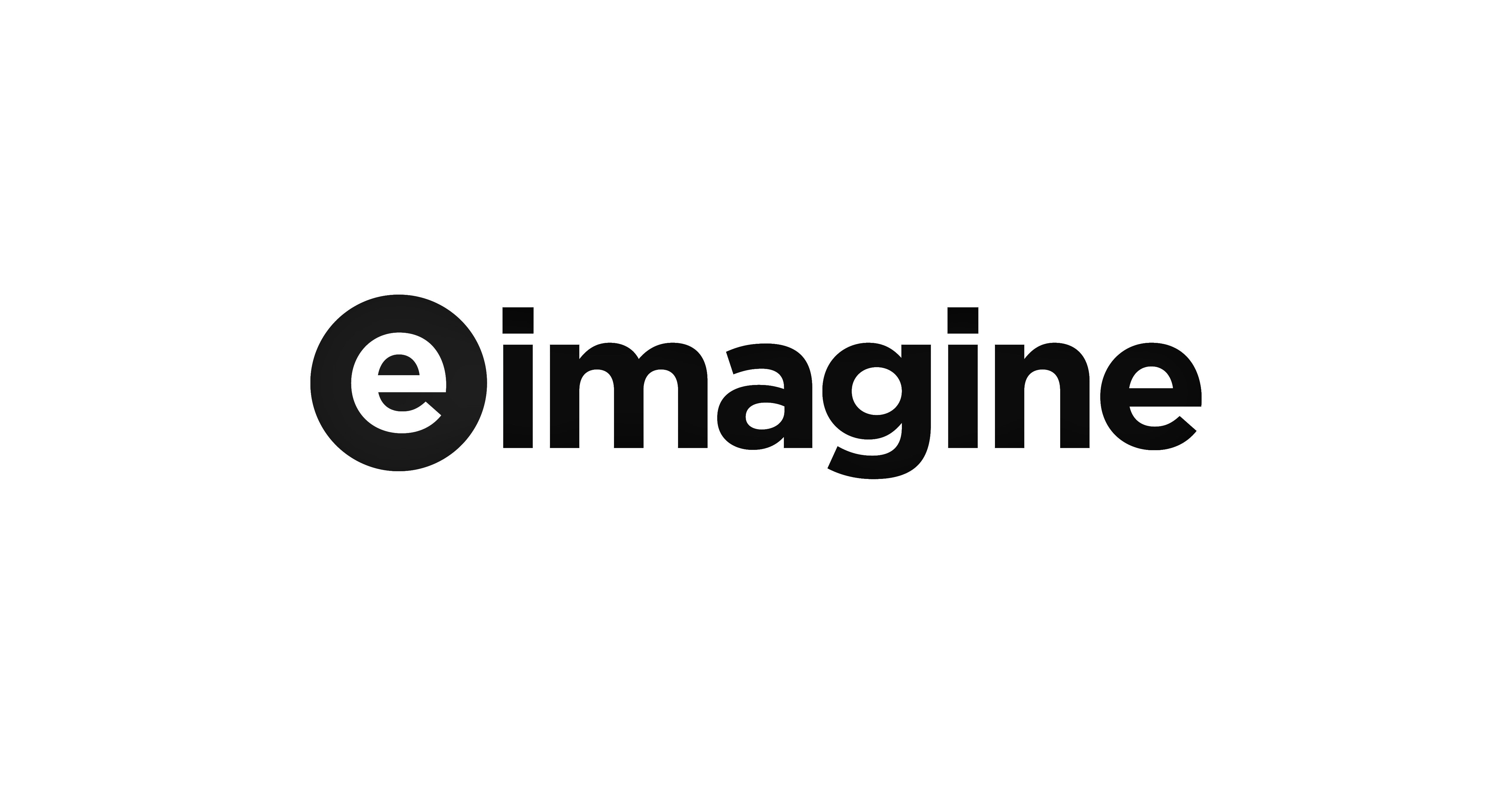 eimagine Saleforce Consulting