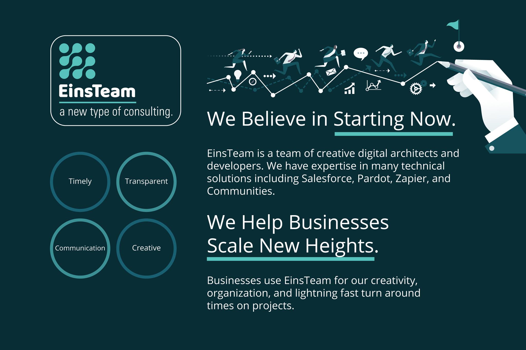 EinsTeam: a new type of consulting