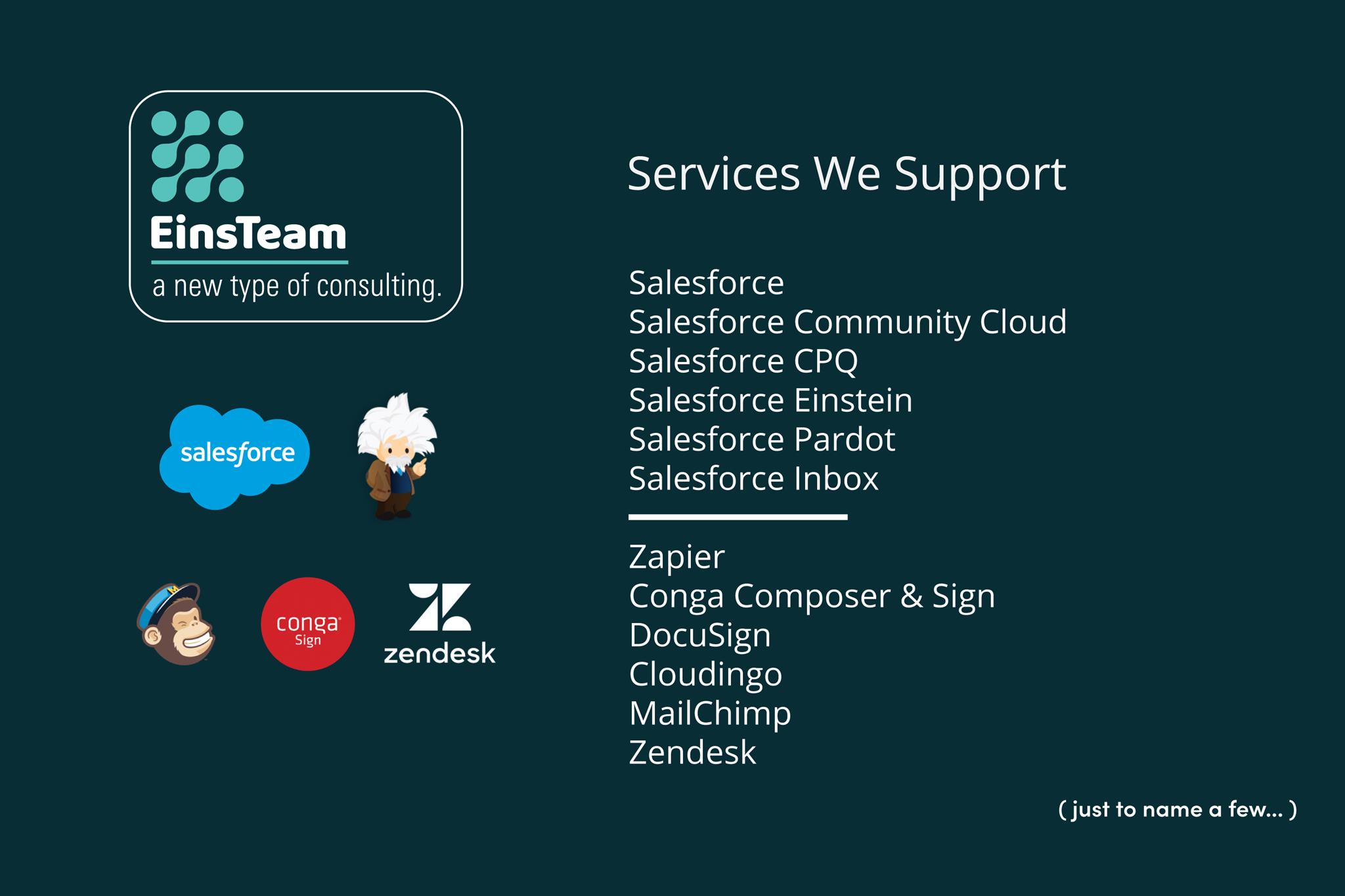 EinsTeam: a new type of consulting