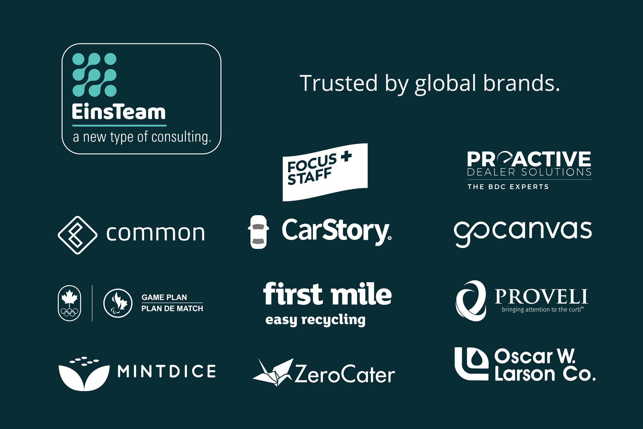 EinsTeam: a new type of consulting